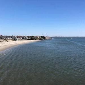 Meet your Posher, Ninfa